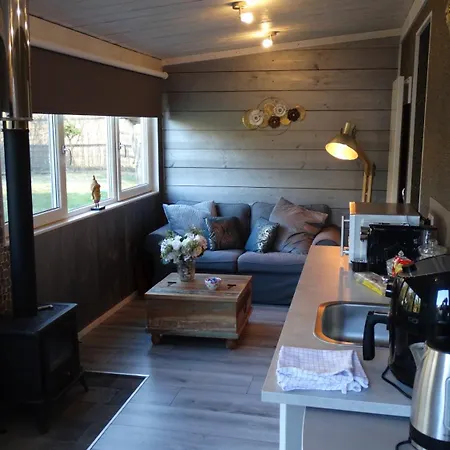 Carpe Diem * زاندفورت